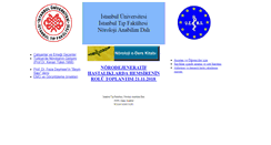 Desktop Screenshot of itfnoroloji.org